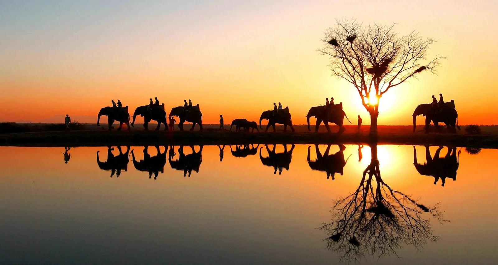 Elefantes ao pôr do sol refletidos na água