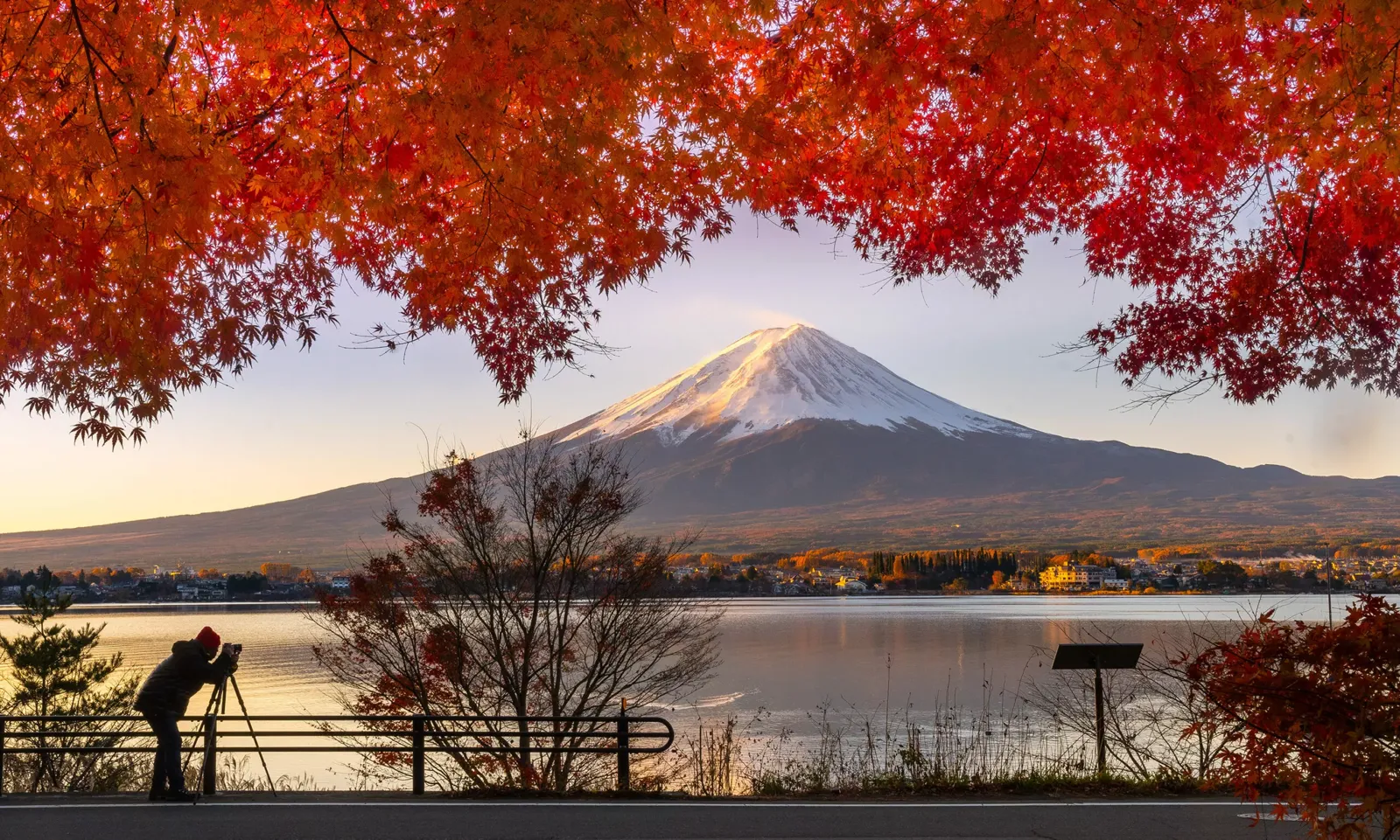 Monte Fuji emoldurado por folhas de outono